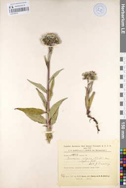 LE 01103715