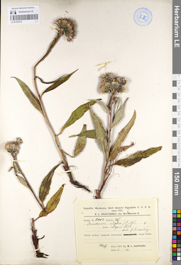 LE 01103716