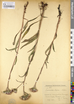LE 01103718