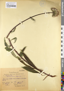 LE 01103729