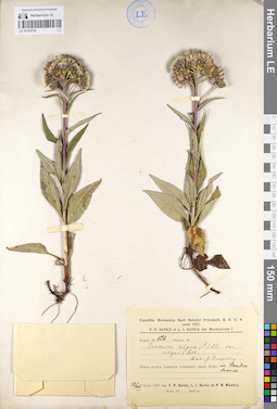 LE 01103730