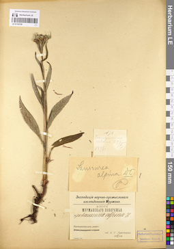 LE 01103769