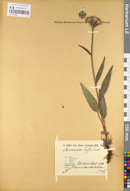 LE 01103782