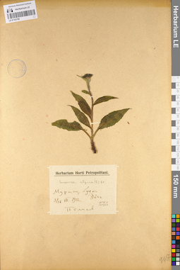 LE 01103799