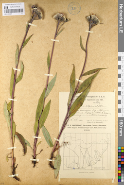 LE 01103827