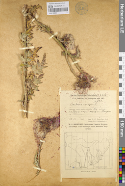 LE 01103836