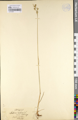 LE 01130474