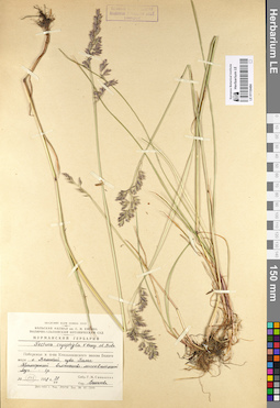 LE 01130484