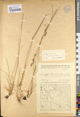 LE 01130489
