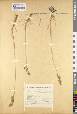LE 01130496
