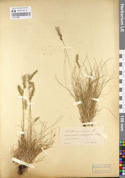 LE 01130680