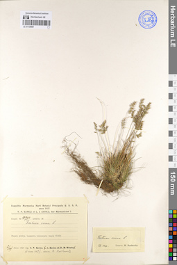 LE 01130687