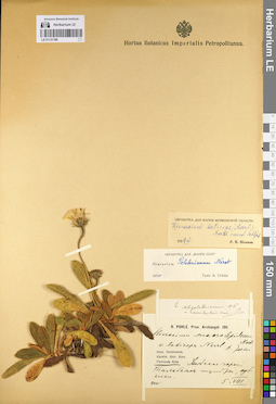 LE 01131798