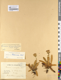 LE 01131805