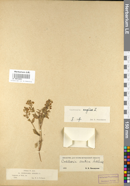 LE 00018201