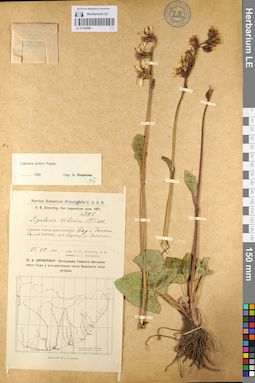 LE 01103660