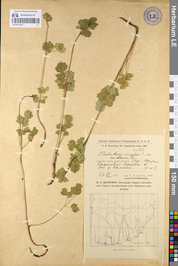LE 01112107