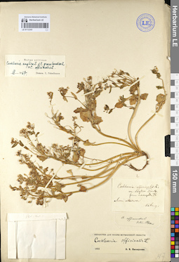 LE 01112161