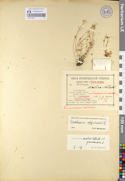 LE 01112183