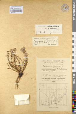 LE 01112191