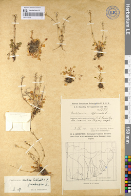 LE 01112192