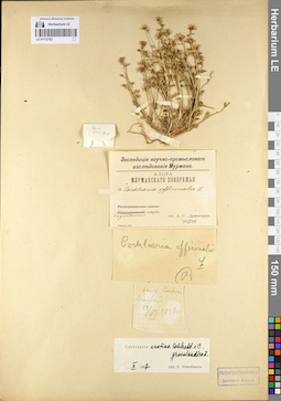 LE 01112193
