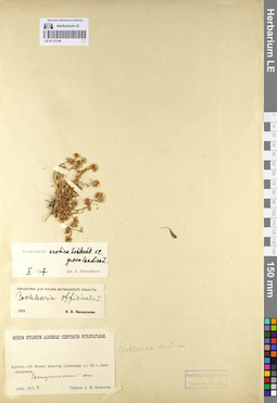 LE 01112194
