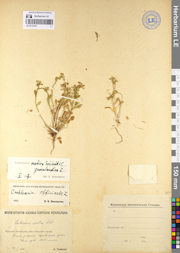 LE 01112197