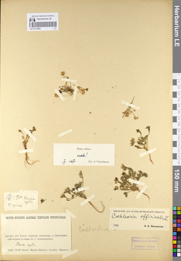 LE 01112203
