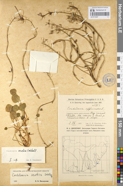 LE 01112237