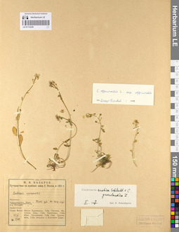 LE 01112239
