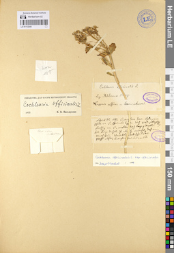 LE 01112245