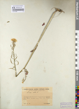 LE 01112294