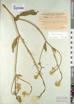 LE 01112297