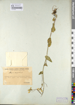 LE 01112316