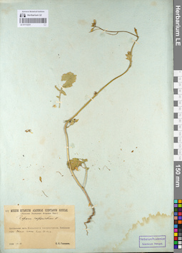 LE 01112331