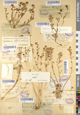LE 01112369