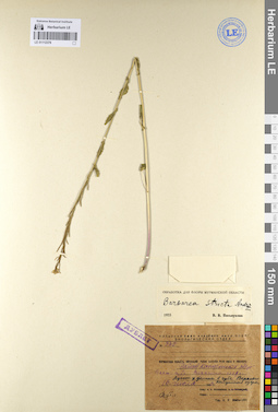LE 01112376