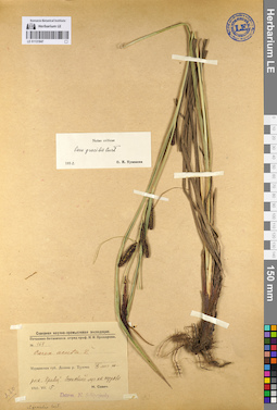 LE 01131847