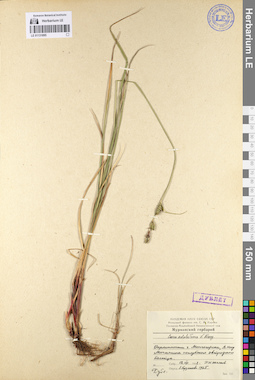 LE 01131895