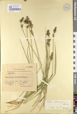 LE 01131925