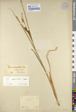 LE 01132023