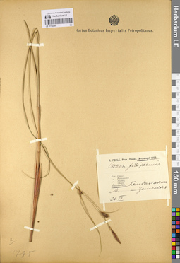 LE 01132841