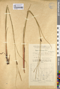 LE 01132847