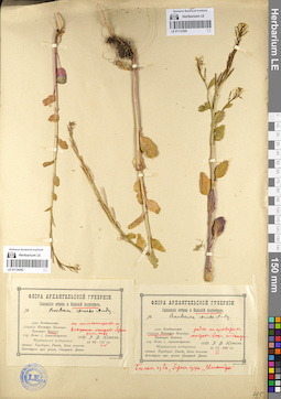 LE 01134292