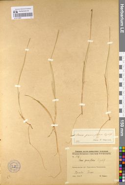 LE 01133801