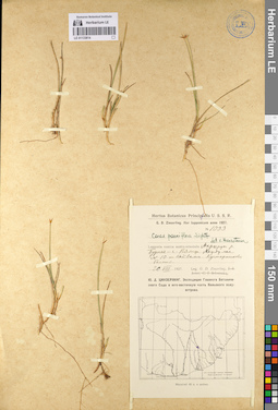 LE 01133814