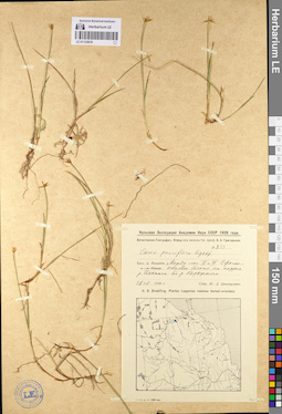LE 01133819