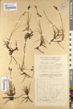 LE 01133892