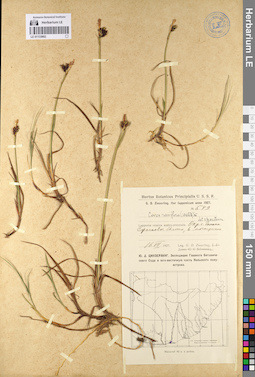 LE 01133902